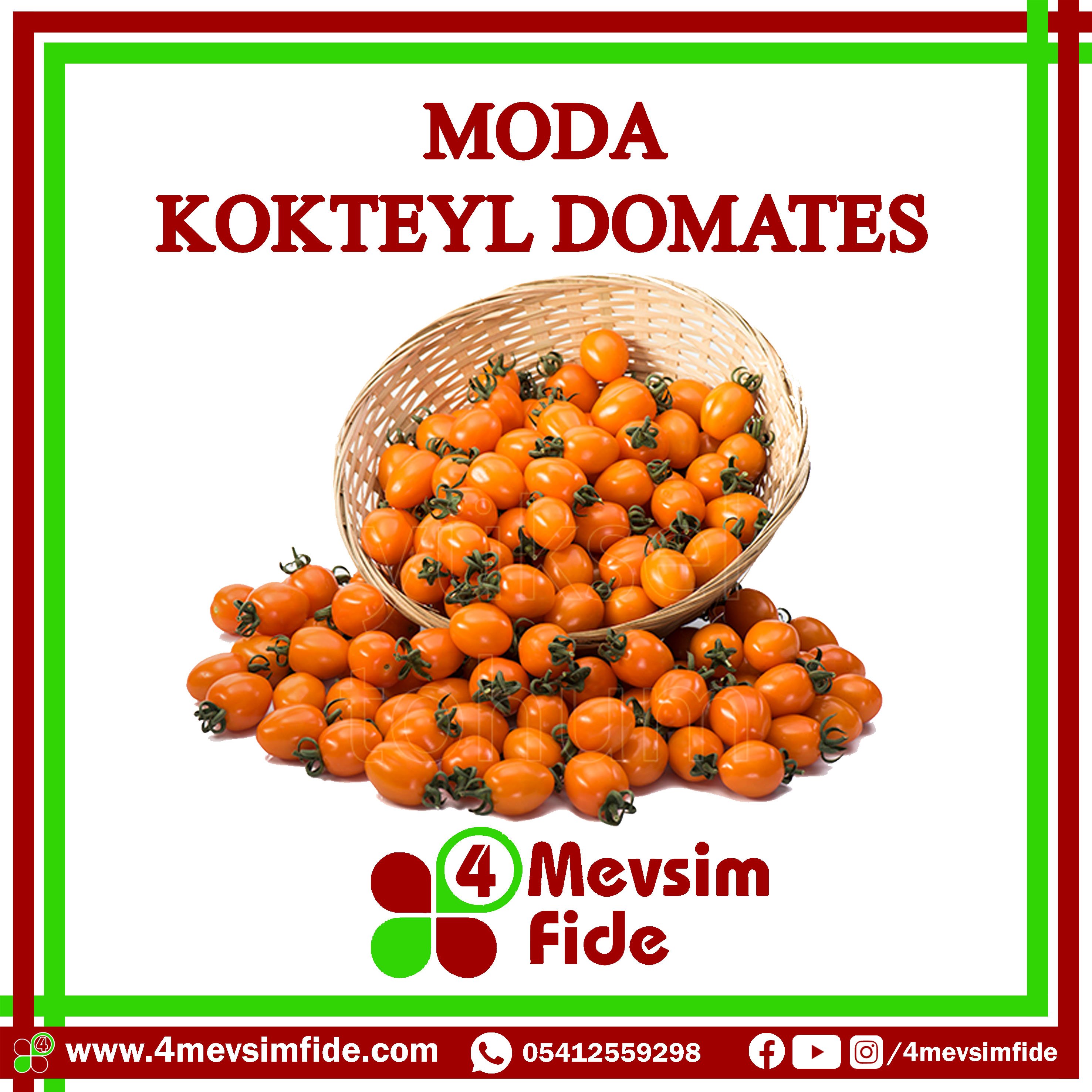 Moda F1 Kokteyl Domates Tohumu